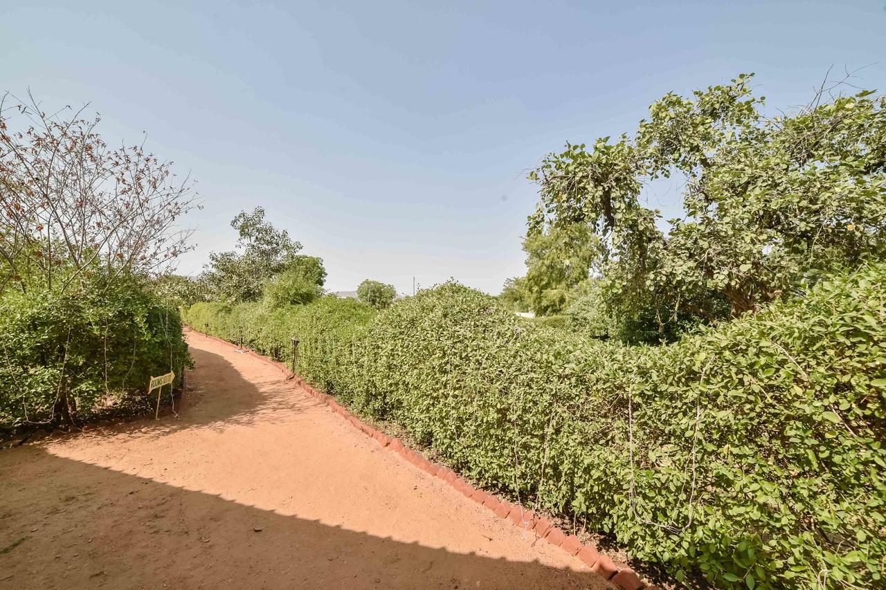 Pushkar Rajwara Resort Eksteriør bilde