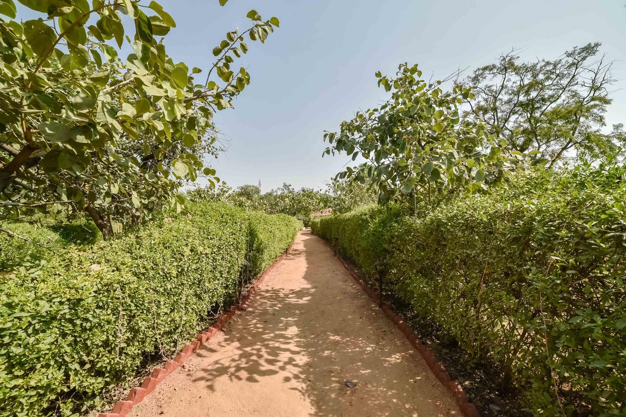 Pushkar Rajwara Resort Eksteriør bilde